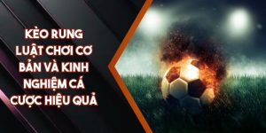Kèo Rung - Luật Chơi Cơ Bản Và Kinh Nghiệm Cá Cược Hiệu Quả