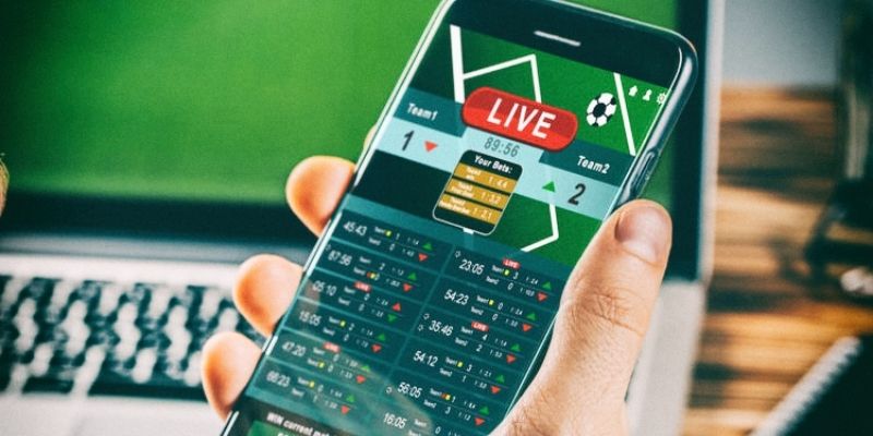 Luật chơi cược rung cơ bản thành viên mới cần biết